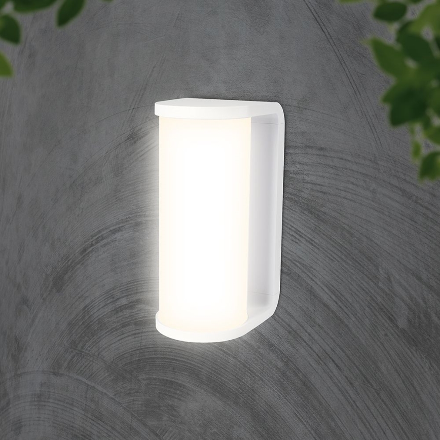 LED Wandlamp voor buiten LED/12W/230V 3000/4200/6500K IP65 wit