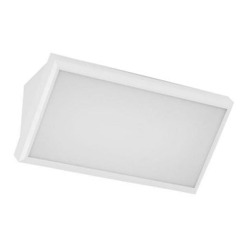 LED Wandlamp voor buiten LED/12W/230V 4000K IP65 wit