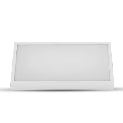 LED Wandlamp voor buiten LED/12W/230V 6400K IP65 wit