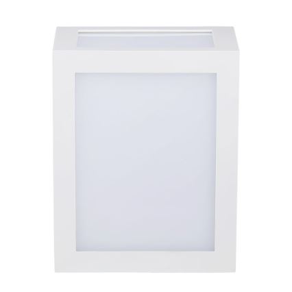 LED Wandlamp voor buiten LED/12W/230V IP65 4000K wit