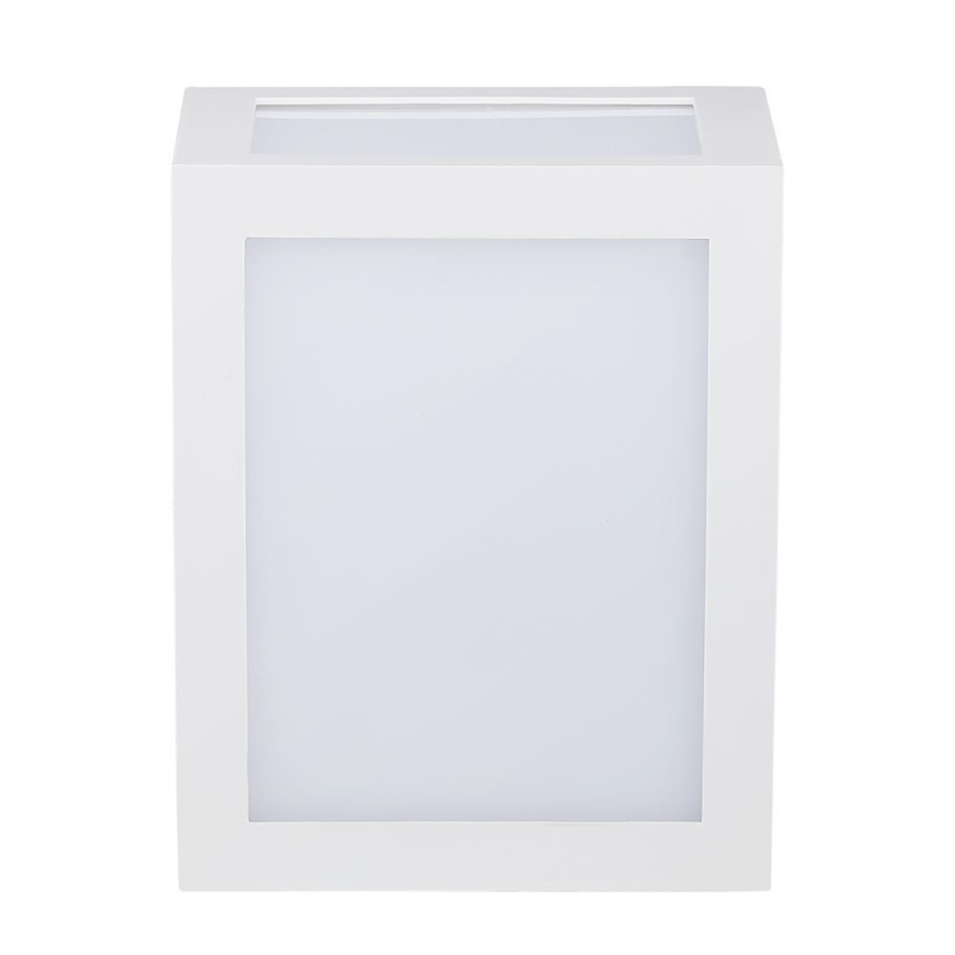 LED Wandlamp voor buiten LED/12W/230V IP65 4000K wit