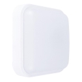LED Wandlamp voor buiten LED / 13W / 230V IP54