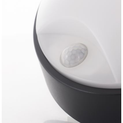 LED Wandlamp voor buiten LED/14W/230V IP54