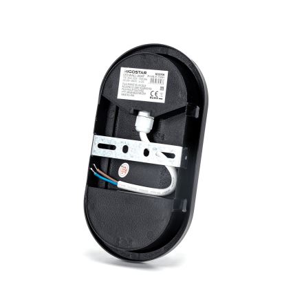 LED Wandlamp voor buiten LED/15W/230V 6500K zwart IP65