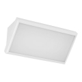 LED Wandlamp voor buiten LED/20W/230V 3000K IP65 wit