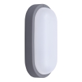 LED Wandlamp voor buiten LED/20W/230V 4000K IP54 grijs ovaal