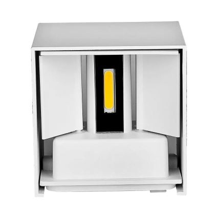 LED Wandlamp voor buiten LED/5W/230V 4000K IP65 wit