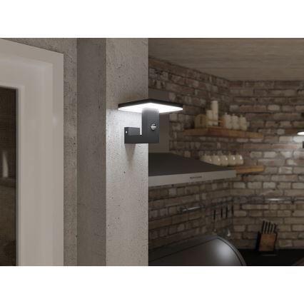 LED Wandlamp voor buiten met sensor BARI LED/10W/230V 4000K IP54 antraciet
