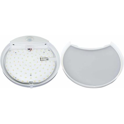 LED Wandlamp voor buiten met sensor HIBIS LED/15W/230V IP44