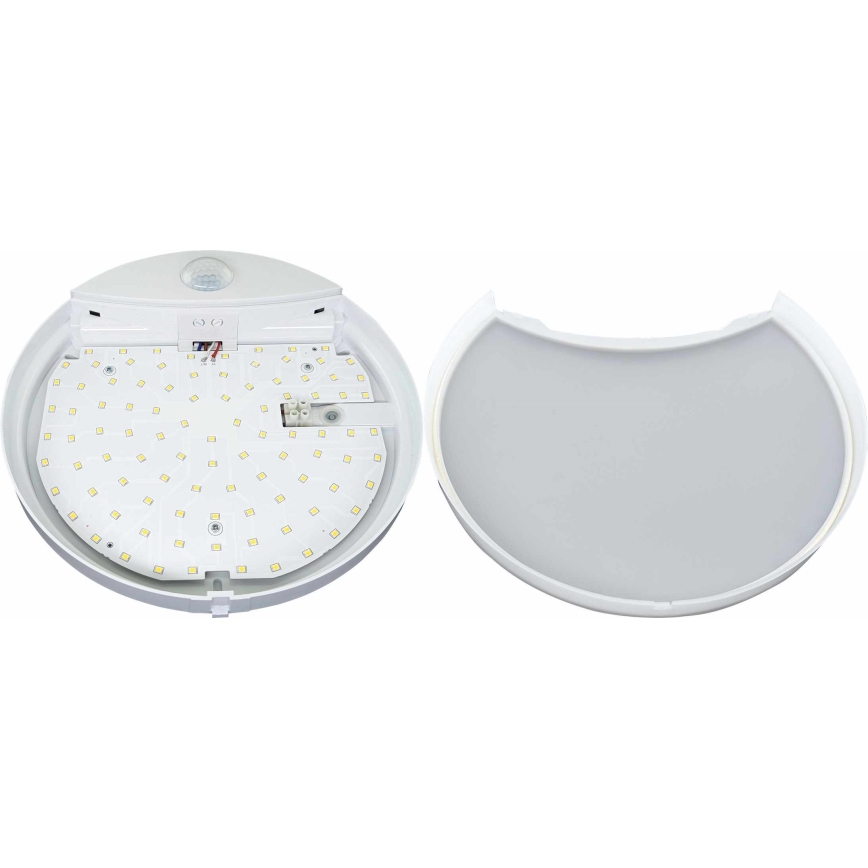 LED Wandlamp voor buiten met sensor HIBIS LED/15W/230V IP44