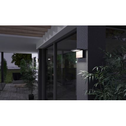 LED Wandlamp voor buiten NATURA LED/12W/230V 4000K IP65 bruin/antraciet