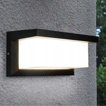 LED Wandlamp voor buiten NEELY LED/12W/230V 4000K IP54 zwart