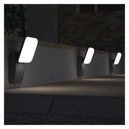 LED Wandlamp voor buiten NIKA LED/12,5W/230V IP44