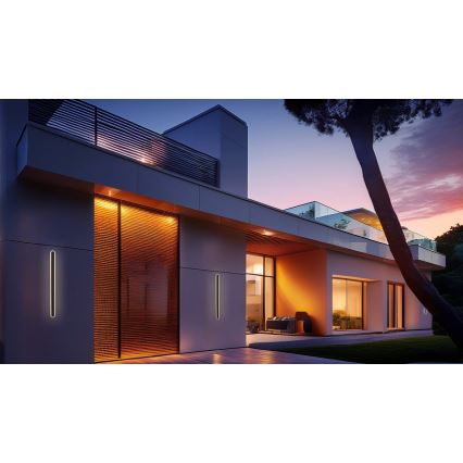 LED Wandlamp voor buiten STICK LED/12W/230V IP65 3000K 60 cm