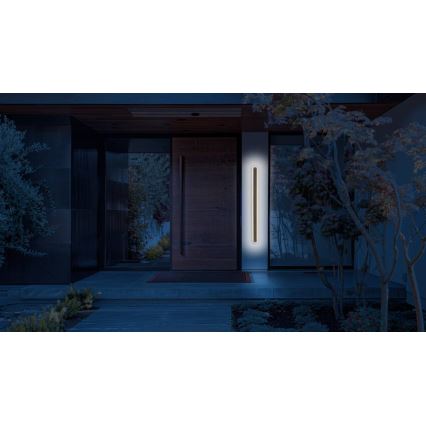 LED Wandlamp voor buiten STICK LED/12W/230V IP65 3000K 60 cm