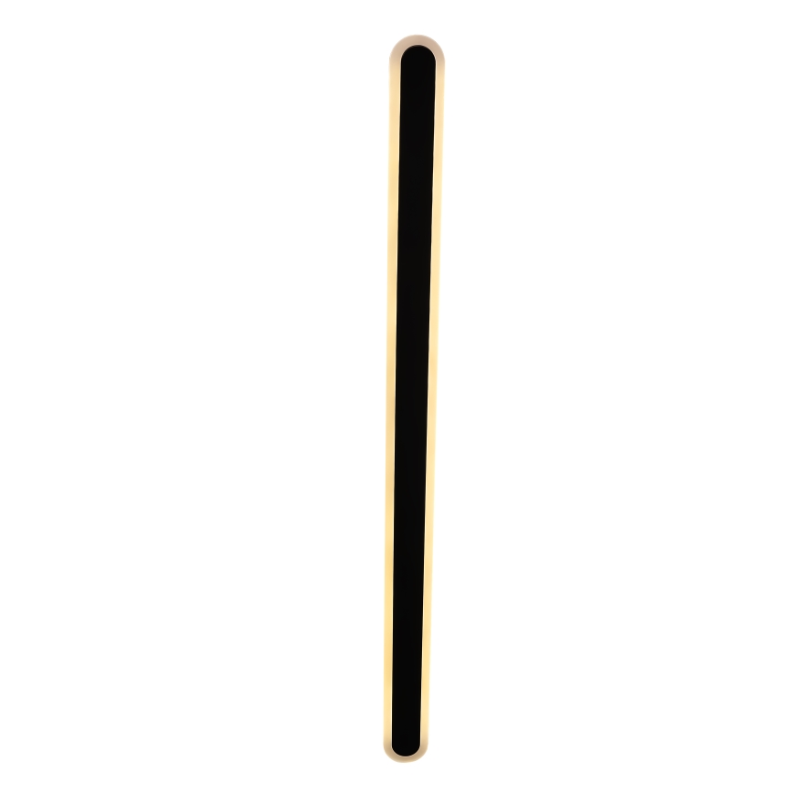 LED Wandlamp voor buiten STICK LED/36W/230V IP65 3000K 120 cm
