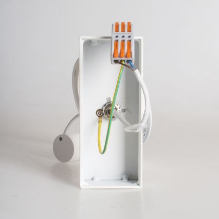LED Wandspot LUGAR 1xAR111 - GU10/25W/230V