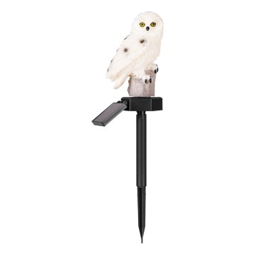 LED zonne-decoratieve lamp met sensor 6xLED/1,2V 3000K 40 cm 600 mAh IP44 uil