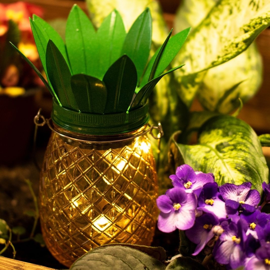 LED Zonne-energie lamp JAR LED/1,2V 150 mAh IP44 ananas