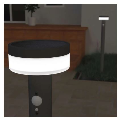 LED Zonne-energie lamp met sensor LED/2W/3,7V 1200 mAh IP44 80 cm