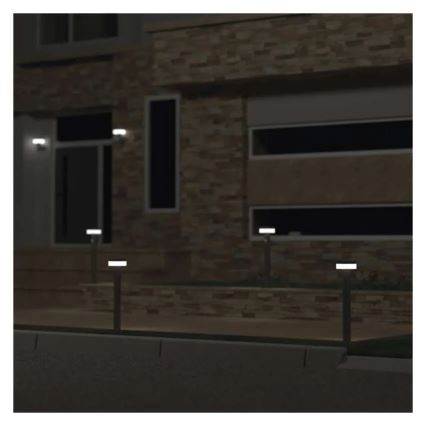 LED Zonne-energie lamp met sensor LED/2W/3,7V 1200 mAh IP44 50 cm