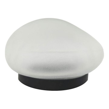 LED zonnelamp 2x LED/1,2 V 300 mAh IP44 zwart/wit