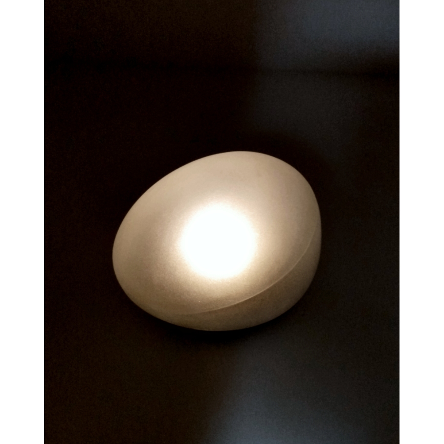 LED zonnelamp 2x LED/1,2 V 300 mAh IP44 zwart/wit