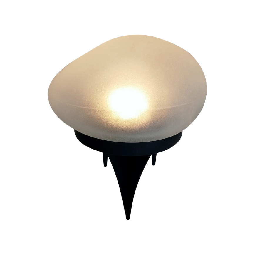 LED zonnelamp 2x LED/1,2 V 300 mAh IP44 zwart/wit
