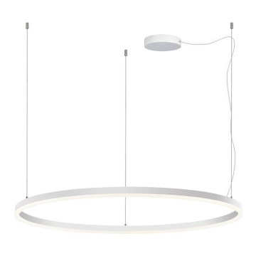 LED2 - Dimbare LED hanglamp aan een koord CIRCLE LED/80W/230V 3000K/4000K diameter 100 cm wit