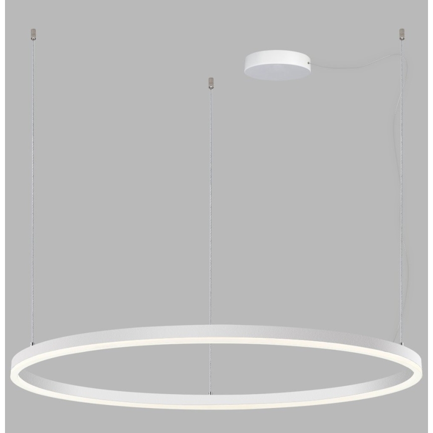 LED2 - LED dimbare kroonluchter aan snoer SATURN LED/80W/230V Ø 100 cm wit