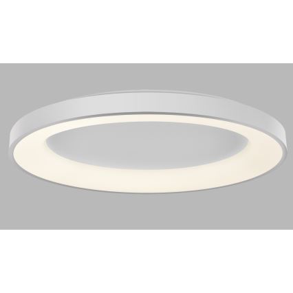 LED2 - LED dimbare plafondlamp BELLA LED/80W/230V 3000K/4000K wit