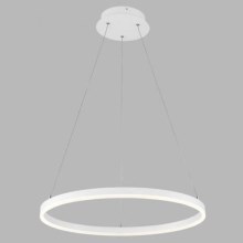 LED2 - LED Hanglamp aan een koord CIRCLE LED/42W/230V