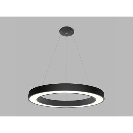 LED2 - LED Hanglamp aan een koord SATURN LED/80W/230V 4000K diameter 80 cm zwart