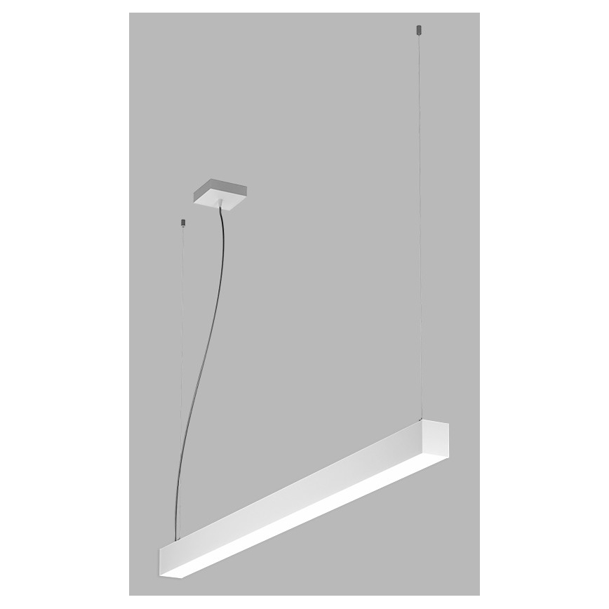 LED2 - LED Kroonluchter aan een snoer NOLI LED/40W/230V 3000K/3500K/4000K wit
