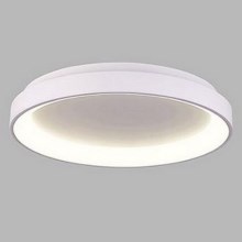 LED2 - LED Plafond Lamp BELLA SLIM LED/38W/230V 3000/4000K wit