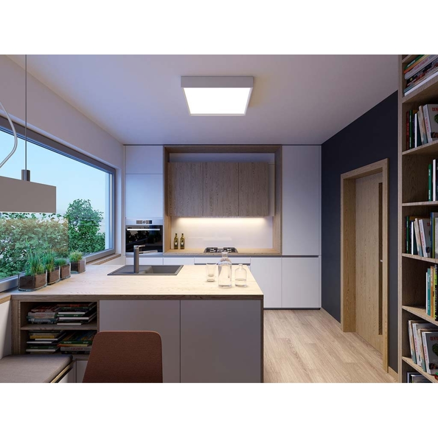 LED2 - LED Plafond Lamp MILO LED/30W/230V wit 3000/4000K