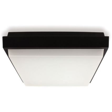 LED2 - LED Plafond Lamp voor Buiten QUADO LED/10W/230V antraciet IP54