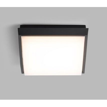 LED2 - LED Plafond Lamp voor Buiten QUADO LED/10W/230V antraciet IP54