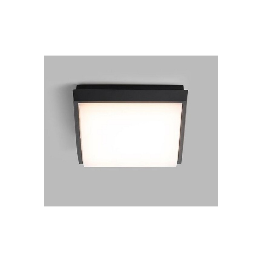 LED2 - LED Plafond Lamp voor Buiten QUADO LED/10W/230V antraciet IP54