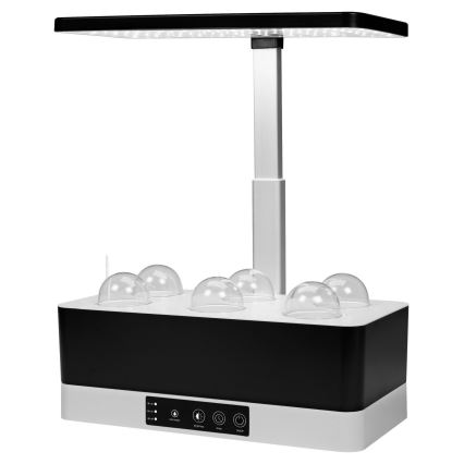 Ledvance - LED Dimbare Binnenlamp voor Planten GARDEN KIT LED/24W/230V