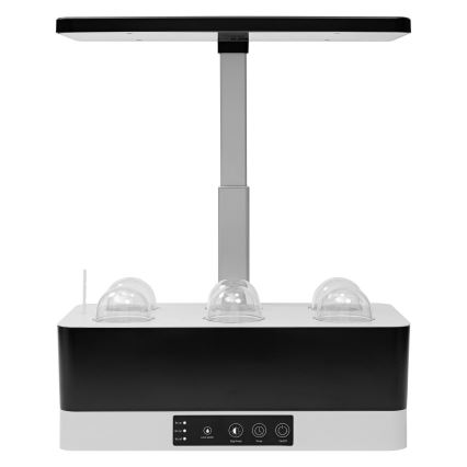 Ledvance - LED Dimbare Binnenlamp voor Planten GARDEN KIT LED/24W/230V