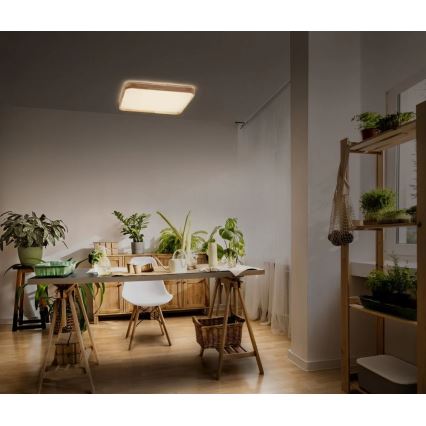 Ledvance - Dimbare LED-plafondlamp ORBIS LED/16W/230V 3000K 29x29 cm