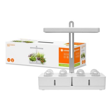 Ledvance - LED Binnenlamp voor Planten GARDEN KIT LED/24W/230V