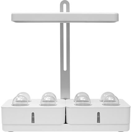 Ledvance - LED Binnenlamp voor Planten GARDEN KIT LED/24W/230V