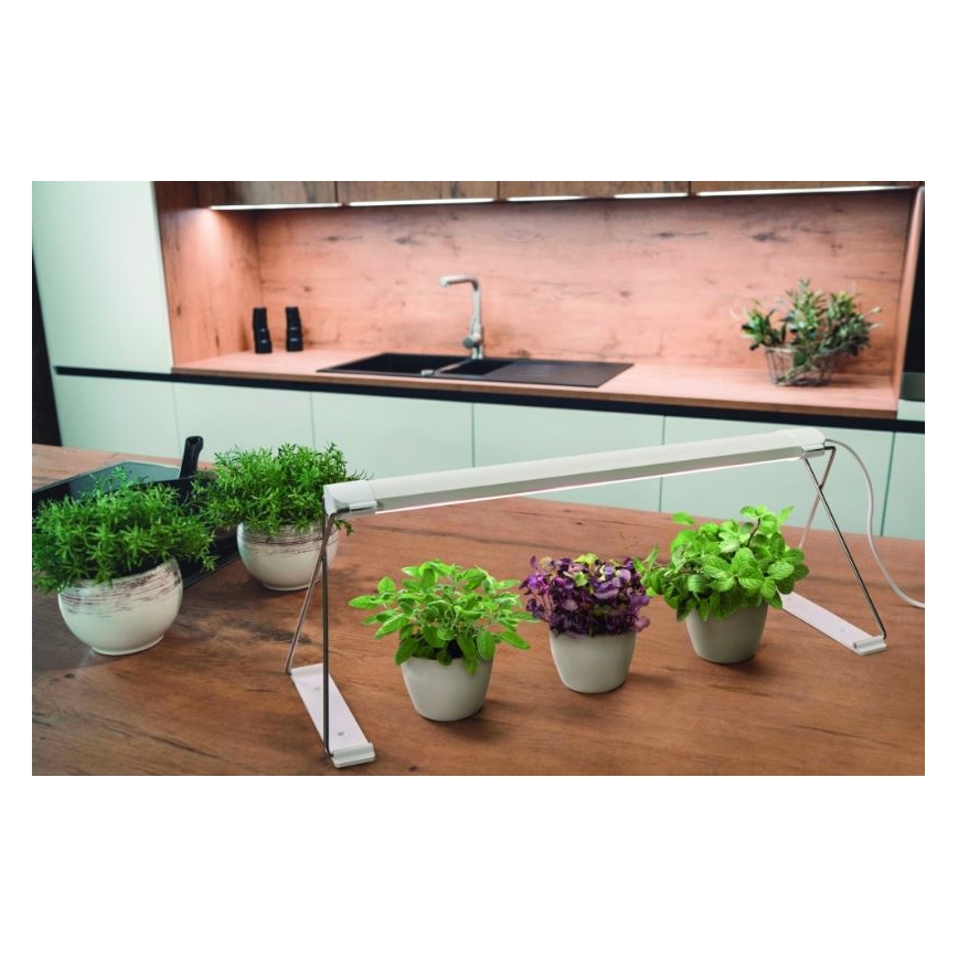 Ledvance - LED Binnenlamp voor Planten GARDEN LIGHT LED/14W/230V