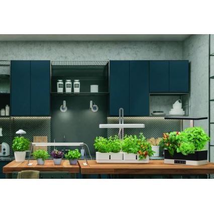 Ledvance - LED Binnenlamp voor Planten GARDEN LIGHT LED/14W/230V