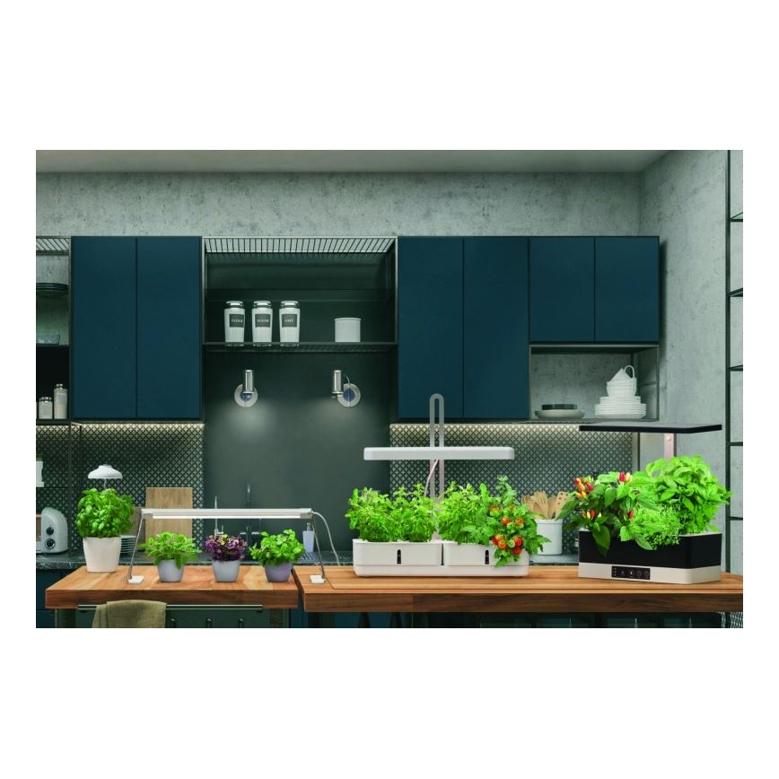 Ledvance - LED Binnenlamp voor Planten GARDEN LIGHT LED/14W/230V