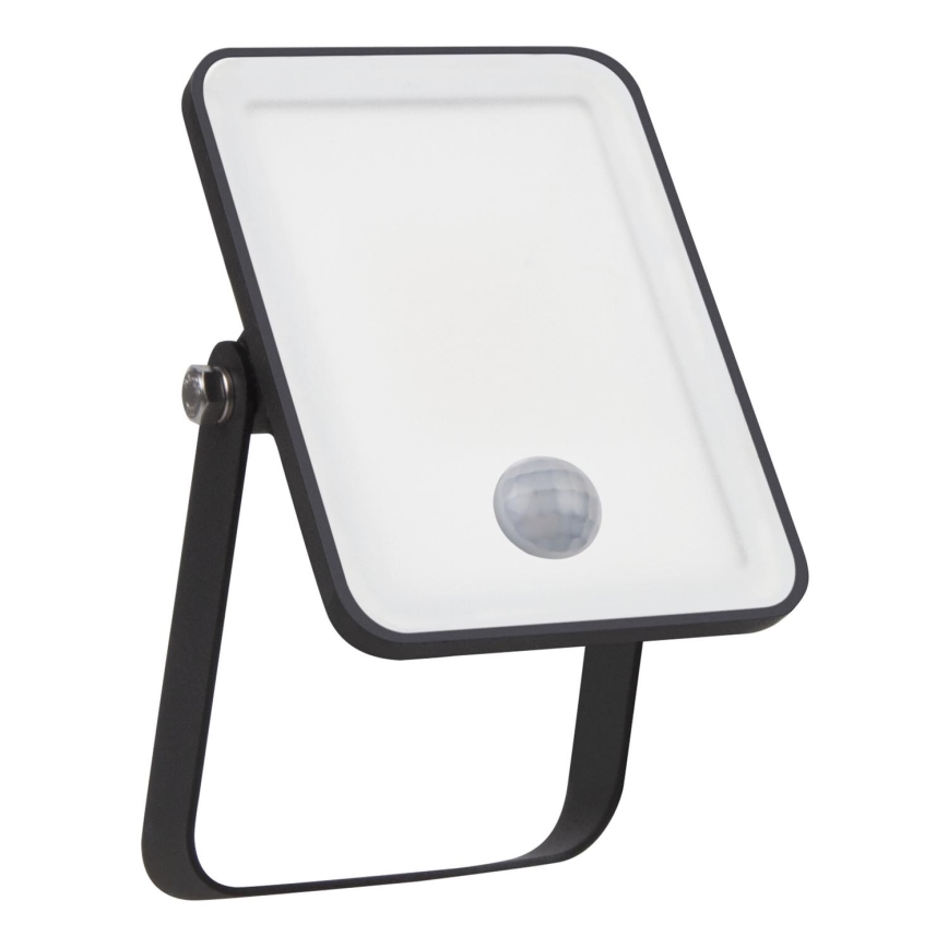 Ledvance - LED Buitenlamp met sensor FLOODLIGHT LED/10W/230V 4000K IP65