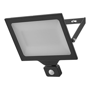 Ledvance - LED Buitenwand schijnwerper met een sensor FLOODLIGHT ESSENTIAL LED/100W/230V IP44