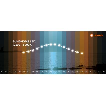 Ledvance - Dimbare LED Plafondlamp SUN@HOME LED/35W/230V 2200-5000K CRI 95 Wi-Fi